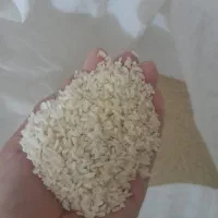 فروش برنج چمپا|خوردنی و آشامیدنی|امیدیه, |دیوار