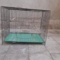 قفس پرنده