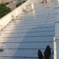 پخش و نصب انواع ایزوگام دلیجان با بهترین کیفیت