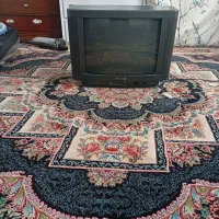 تلویزیون شهاب|تلویزیون و پروژکتور|سنندج, |دیوار