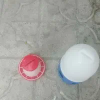 آبخوری و دانه خوری