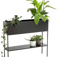 انواع فلاور باکس