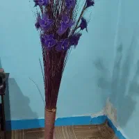 اباژور چراغی