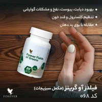 محصولات کاملا گیاهی و امریکایی فوراور|آرایشی، بهداشتی، درمانی|شیراز, شهرک بهشتی|دیوار