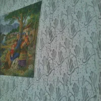 طرح کاغذ دیواری با رنگ سختمانی|خدمات پیشه و مهارت|کاشان, راوند|دیوار