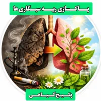 رفع خلط/پاکسازی ریه