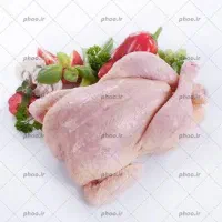 نیروی کار برای بسته بندی مرغ