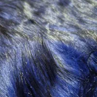 خز پرز بلند خارجی دورنگ|لباس|چهارباغ, |دیوار