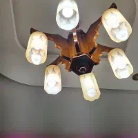 لوستر|لوستر و چراغ آویز|رشت, باهنر|دیوار