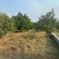 باغ-نزدیک-بافت-برق-واب-داره