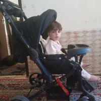 کالسکه دلیجان