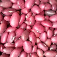 کالابرگ برنج و حبوبات