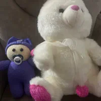 دو عدد عروسک نو