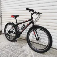 دوچرخ24.26شاهرخان