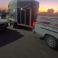 اسبکش دو اسب آماده به کار|اسب و تجهیزات اسبسواری|برخوار, |دیوار