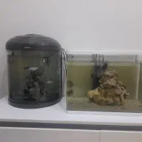 اکواریم شرکتی