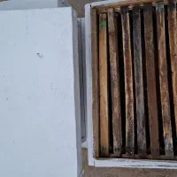 چهار عدد کندو با قاب|لوازم جانبی حیوانات|کوه چنار, |دیوار