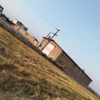 گاوداری صنعتی 104 راسی (امینی) بهر جاده اصلی