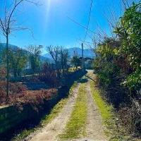 فروش-یک-قطعه-زمین-در-سفید-تمشک-رامسر