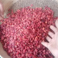 زغال اخته خشک بدون هسته و سماق قرمز خالص برگ|خوردنی و آشامیدنی|تهران, استاد معین|دیوار