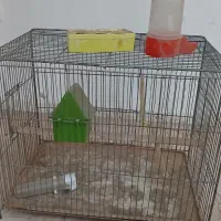 قفس پرنده