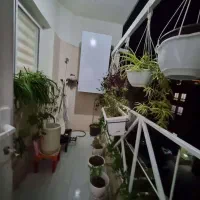 خانه آپارتمانی 135 متر خوش نقش|فروش آپارتمان|مشهد, حسابی جنوبی (شهرک غرب)|دیوار