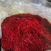 گزیک شبه نگین دختر پیچ نگین زعفران