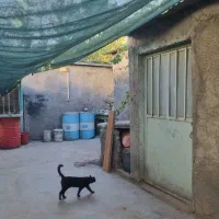 اجاره ۷۵ متر فضای کارگاهی|اجارهٔ دفتر صنعتی، کشاورزی، تجاری|مشهد, نوید|دیوار