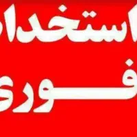 نیروی تبلیغات اینستا پیج سایت