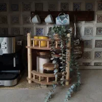 استند چوبی پاسماوری