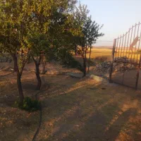 فروش-باغ