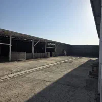 دامداری و زمین زراعی|فروش دفتر صنعتی، کشاورزی، تجاری|زاویه, |دیوار