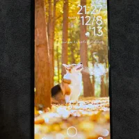 شیائومی note 13 pro 5g 512|موبایل|قرچک, میرزائی شمالی|دیوار