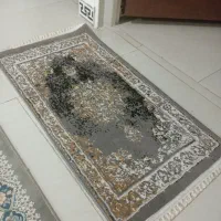 دوعددپادری درحدنو
