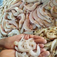 میگو پاک کنی