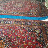 فرش درحدنو|فرش|مراغه, |دیوار