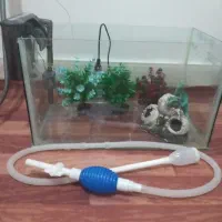 آکواریوم و تمام وسایل درون آکواریوم|ماهی|پیرانشهر, |دیوار