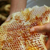 عسل گل گون صدرصد طبیعی