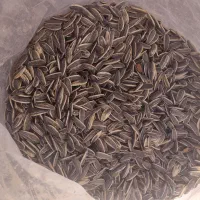 خشکبار حبوبات واجیل