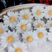 شمع گل بابونه|صنایع دستی و سایر لوازم تزئینی|آباده, |دیوار