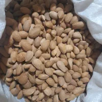 بادام سنگی وشنوه