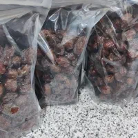 خرما تازه و مرغوب/مستقیم از نخلستان|خوردنی و آشامیدنی|شیراز, ریاستی|دیوار