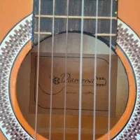 گیتار|گیتار، بیس، امپلیفایر|مشهد, آزادشهر|دیوار