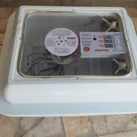 دستگاه جوجه کشی معامله با طوطی ملنگو|لوازم جانبی حیوانات|بافت, |دیوار