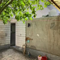 اجاره اپارتمان ۷۰‌متری /طبقه همکف/ افسریه جنوبی|اجارهٔ آپارتمان|تهران, افسریه جنوبی|دیوار