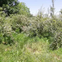 باغشهری سپیدان (کوشکک و شیربابا)|فروش دفتر صنعتی، کشاورزی، تجاری|سپیدان, |دیوار