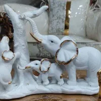 فیل چینی بیسکوییتی