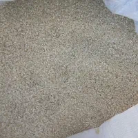 نیم دانه|خوردنی و آشامیدنی|کوهدشت, |دیوار