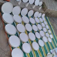زیرگلدونی سنگی