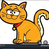 گم شدن گربه